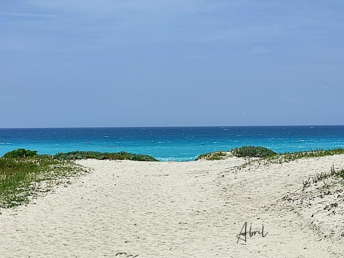 Homestay Tu Casa En El Caribe