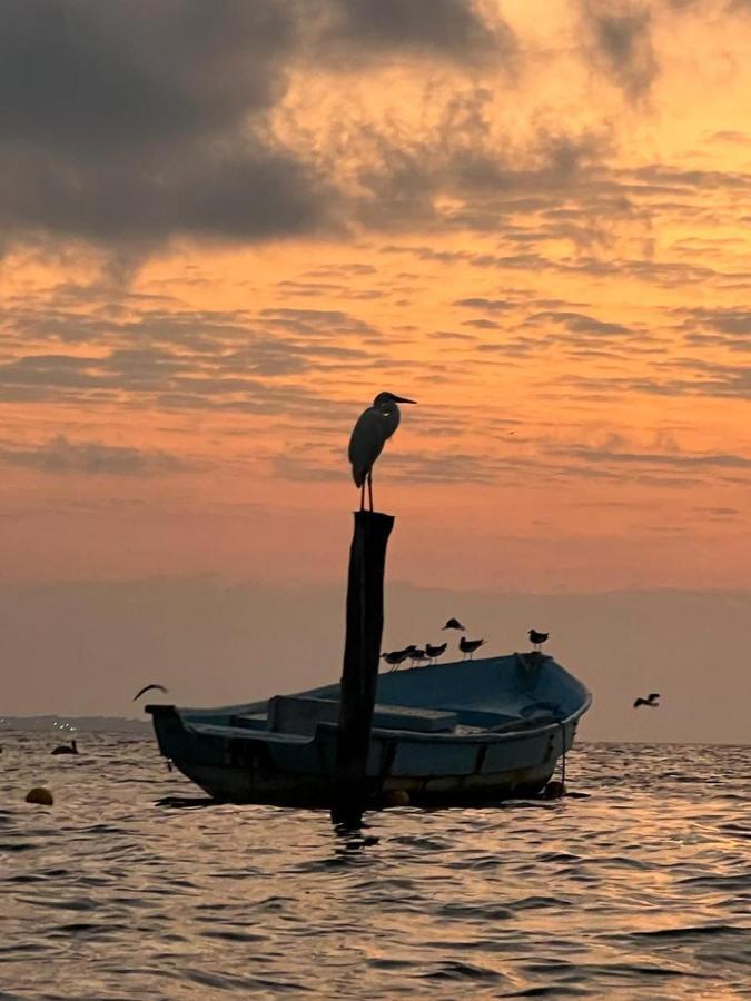 Tu Casa En El Caribe * Cancun