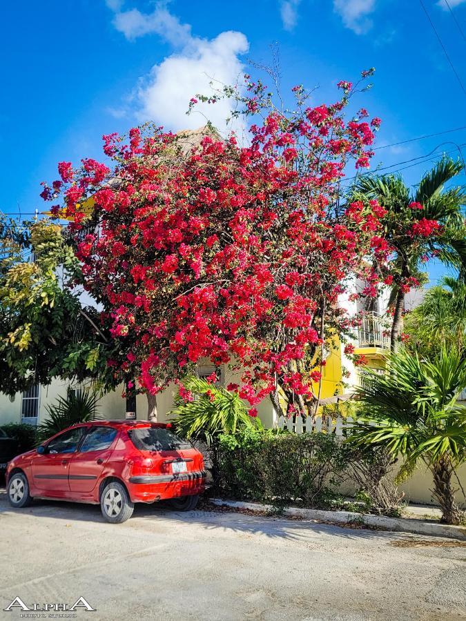 Tu Casa En El Caribe Homestay