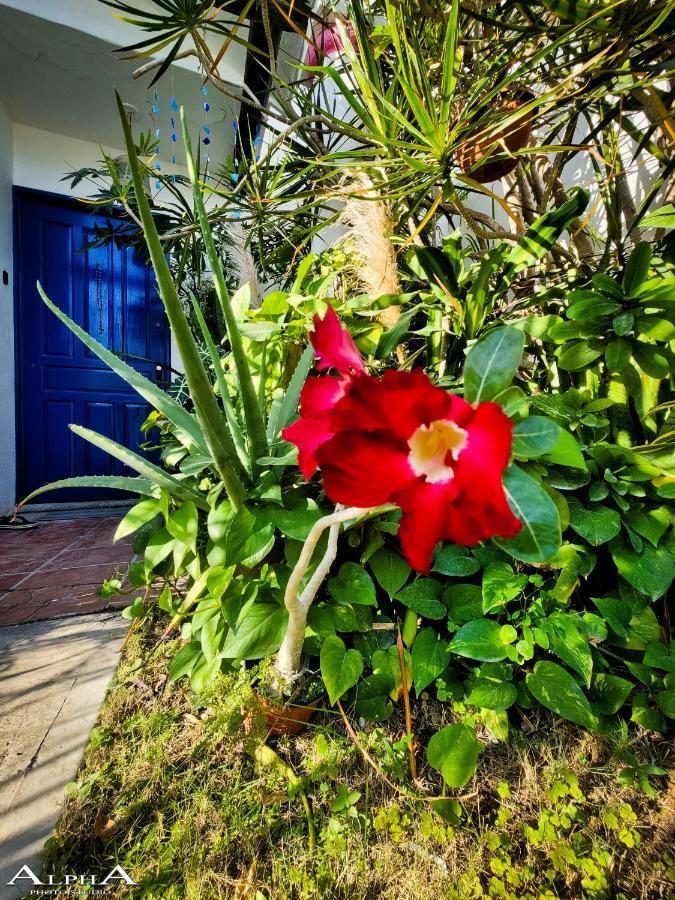 Tu Casa En El Caribe Homestay