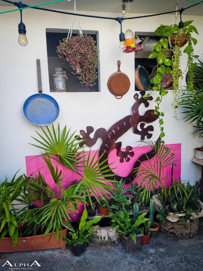 Tu Casa En El Caribe Cancun