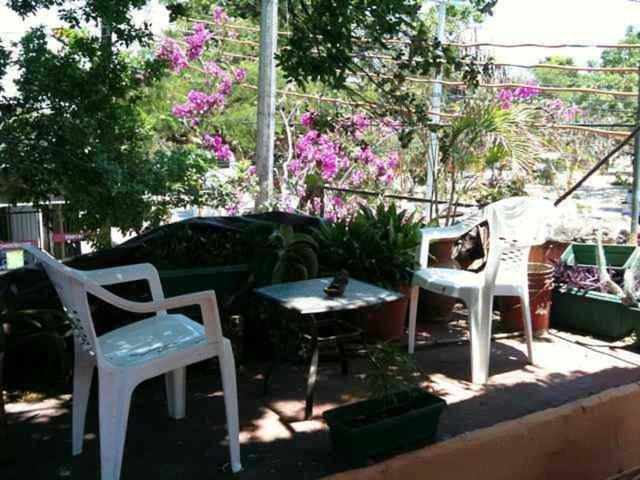 Hotel Mayan Hostel Cancun