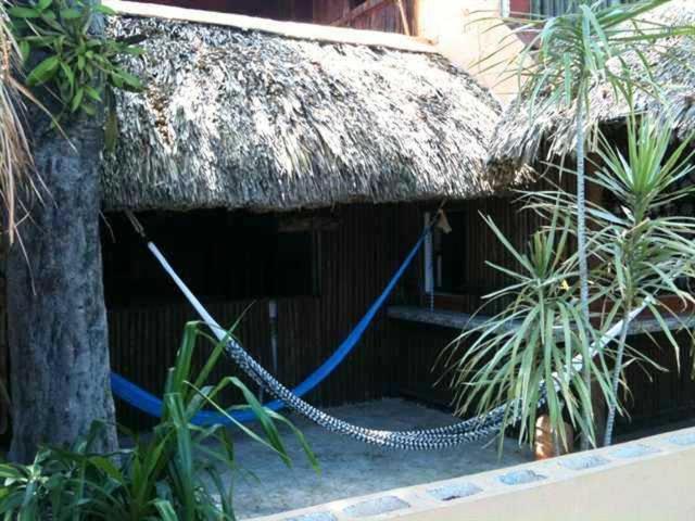 Mayan Hostel Hotel Cancun