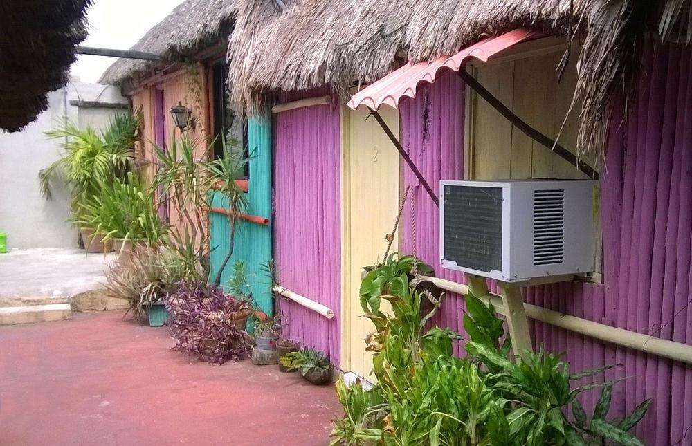 Mayan Hostel Hotel
