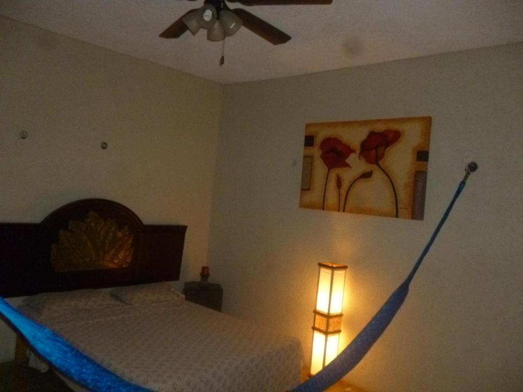Mayan Hostel