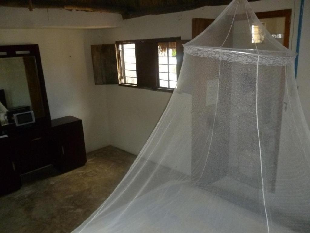 Mayan Hostel Hotel Cancun