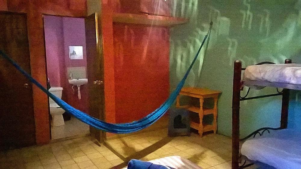Mayan Hostel *