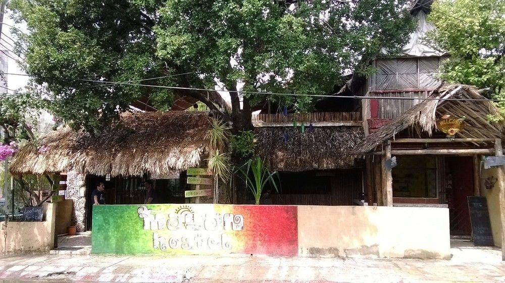 Mayan Hostel Hotel *