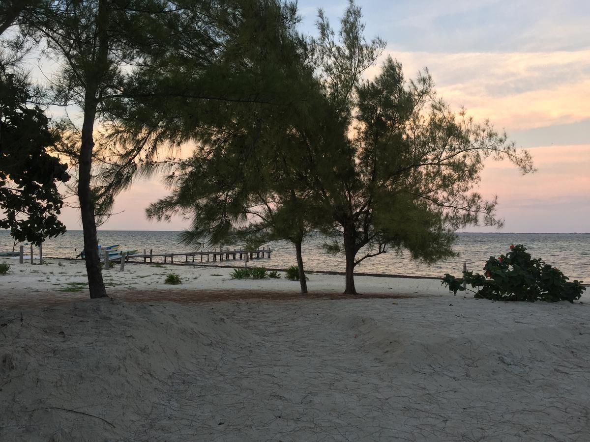 Sea By C (adults Only) Apartment