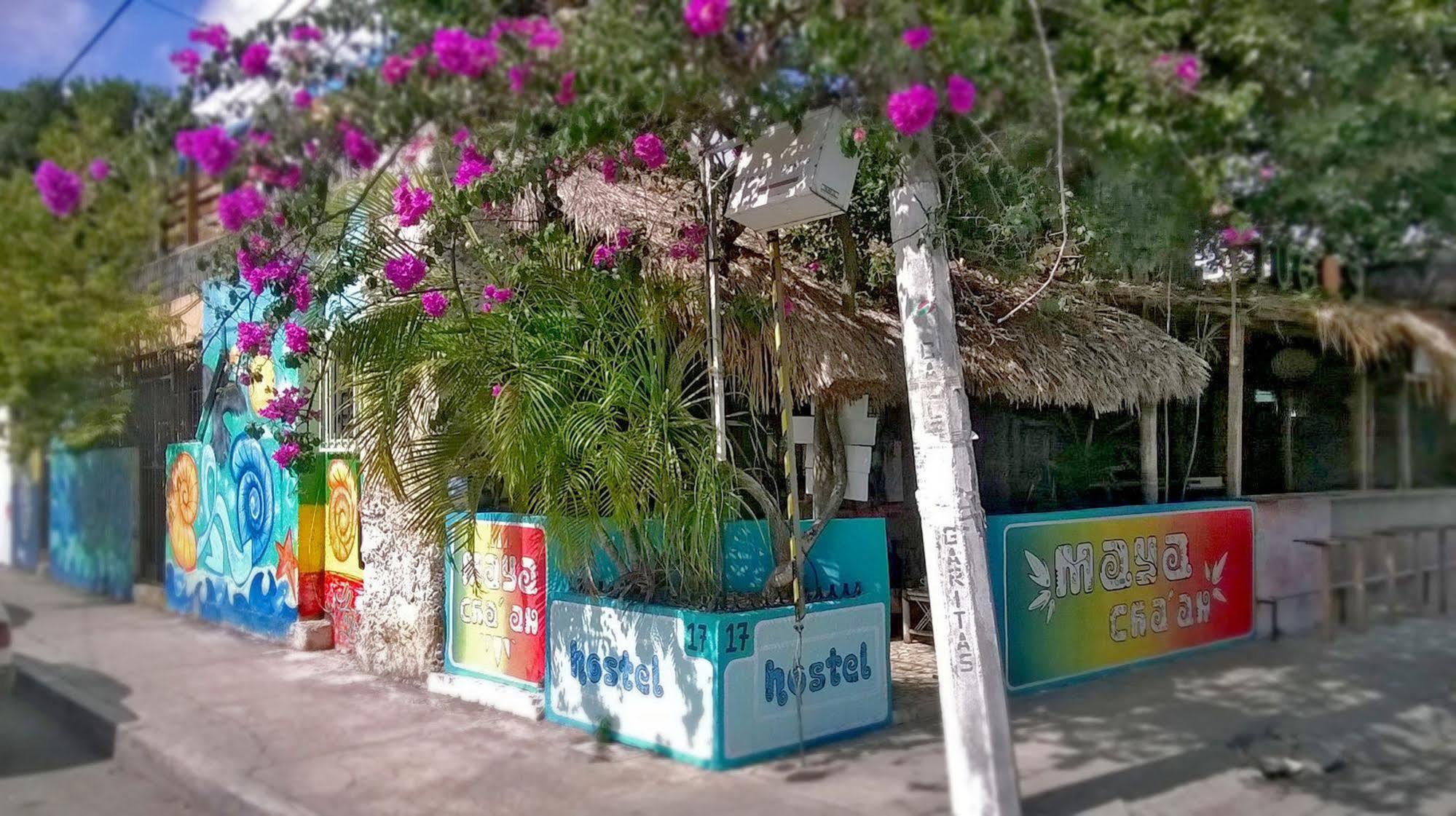 Hotel Mayan Hostel