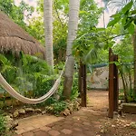 Oma Cancun - Holistic Healing Center