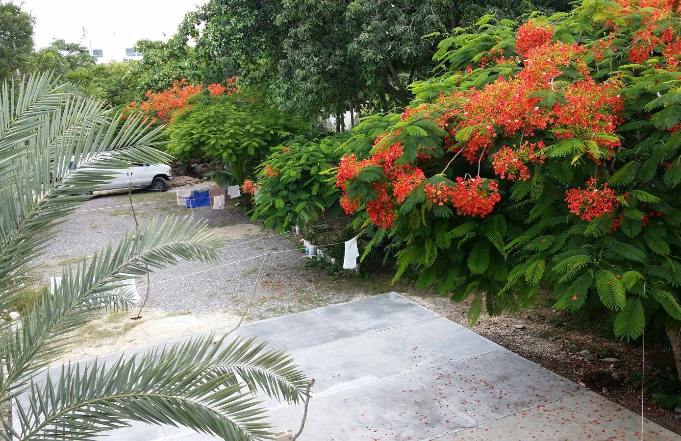 Mansion Giahn 2* Cancun