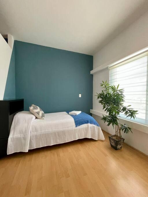 Coco Luxury Loft Apartment