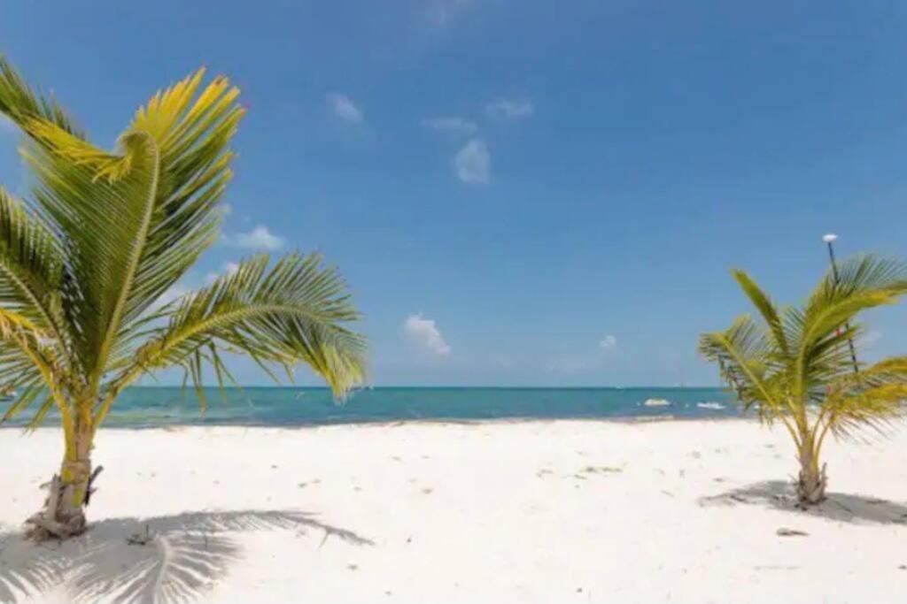 Luxury Beachfront Amara Apartment *