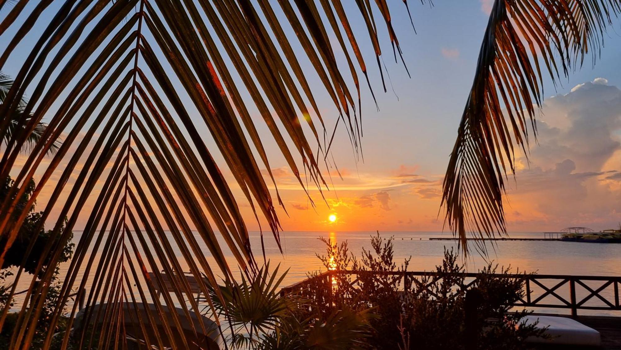 On The - Seaside Sunrise Haven 1 - Sea View Apartment *