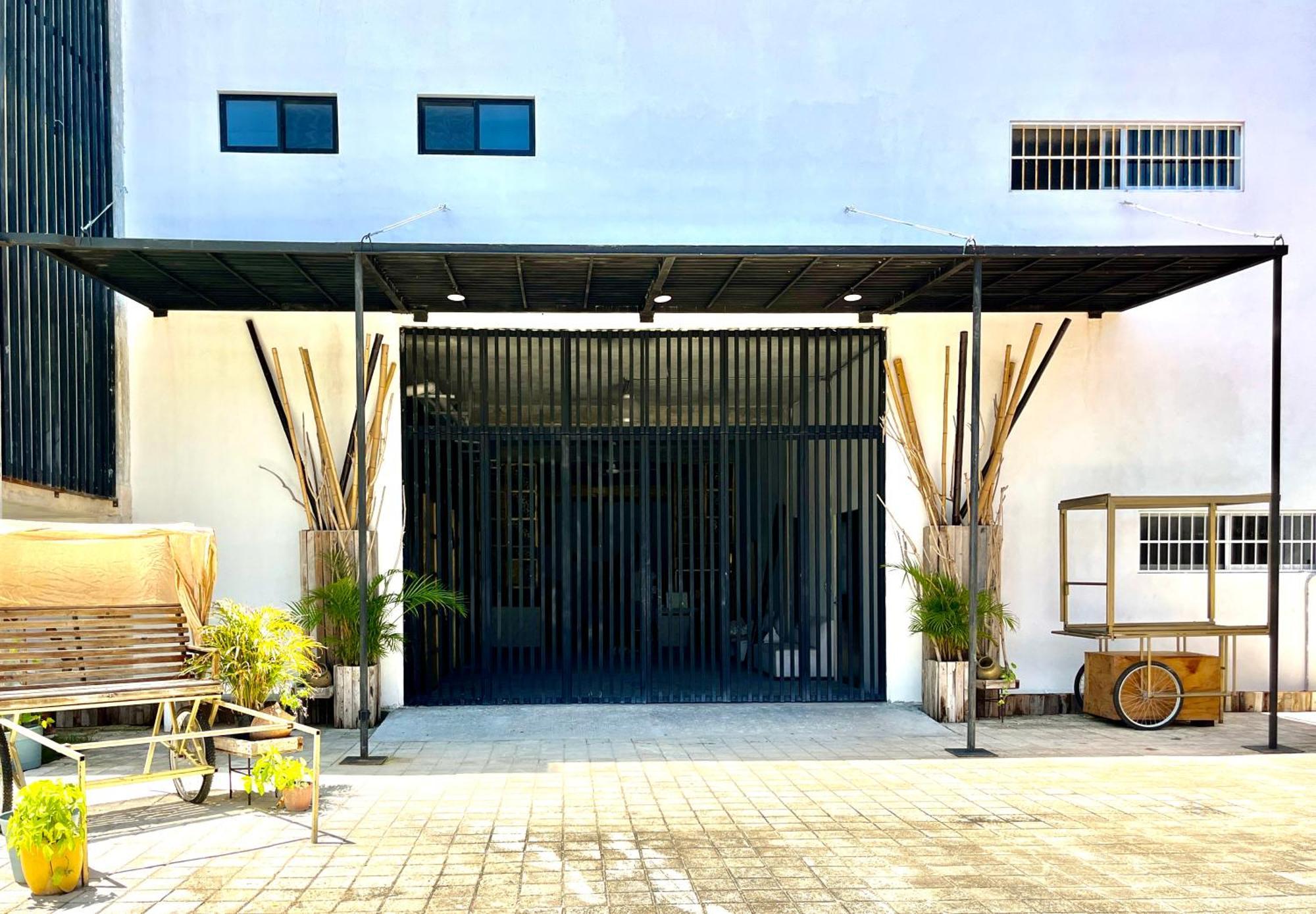 Urban Jungle Collection Apartment Cancun