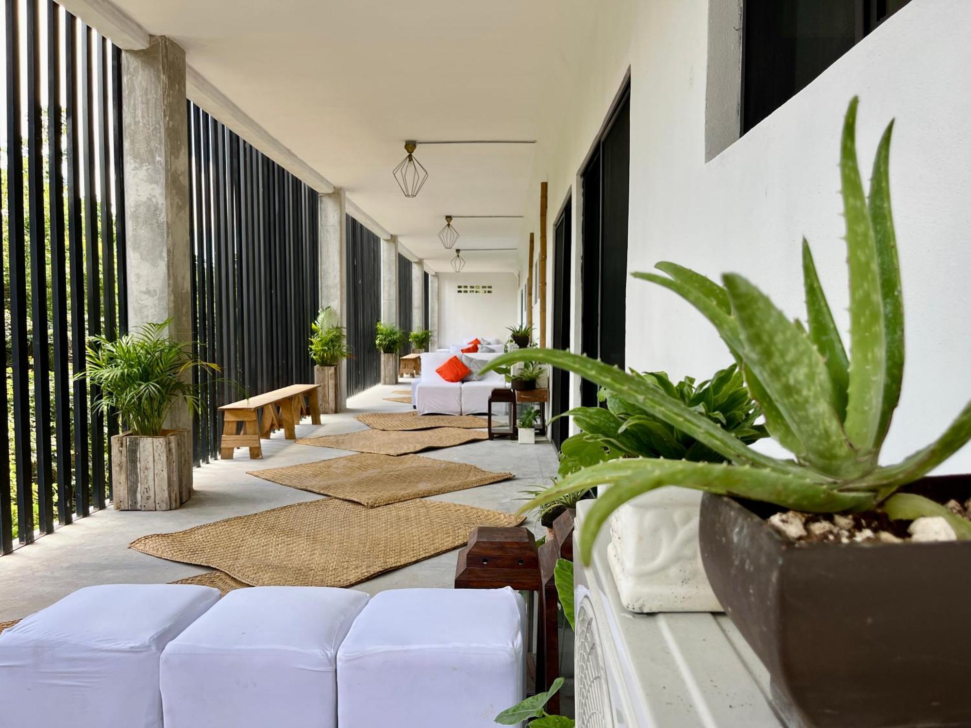 Urban Jungle Collection * Cancun
