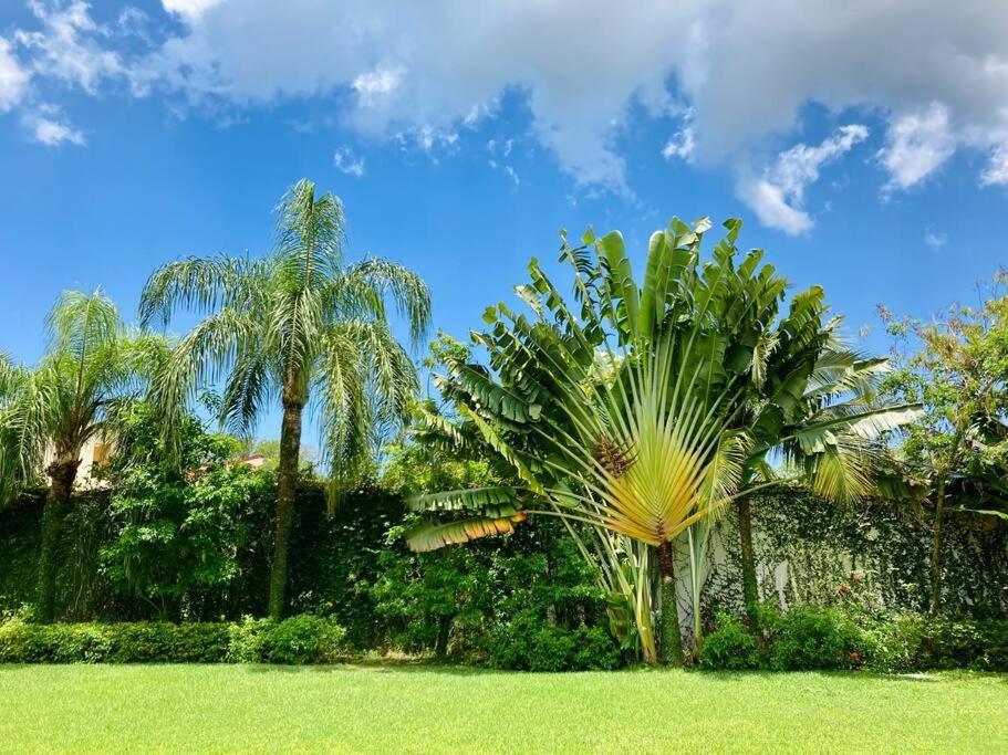 Profile 2 Villa Cancun