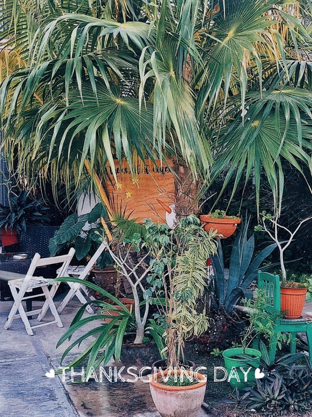 Tu Casa En El Caribe * Cancun