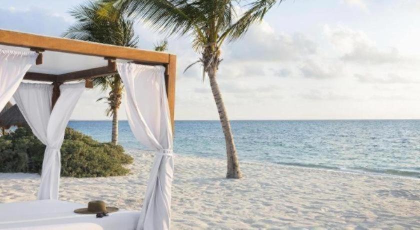 Excellence Playa Mujeres (adults Only) Cancun