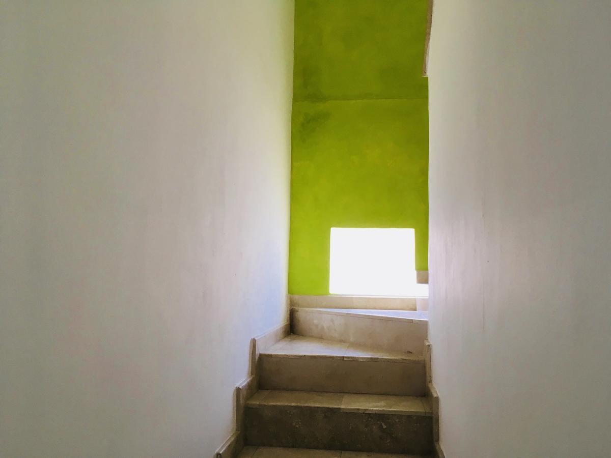 Penthouse Tiburon Ballena Apartment *