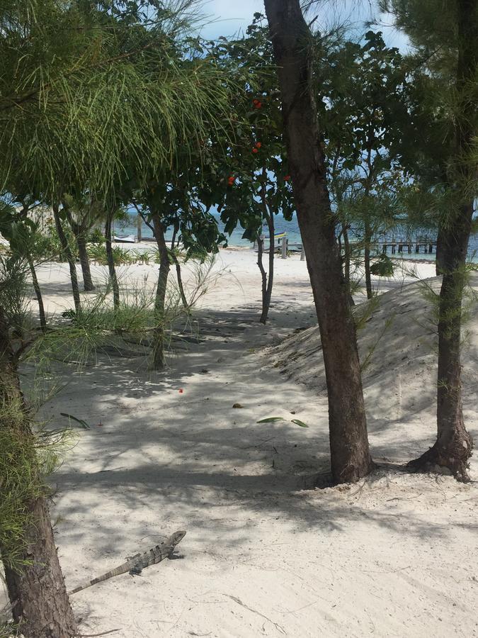 Sea By C (adults Only) Cancun