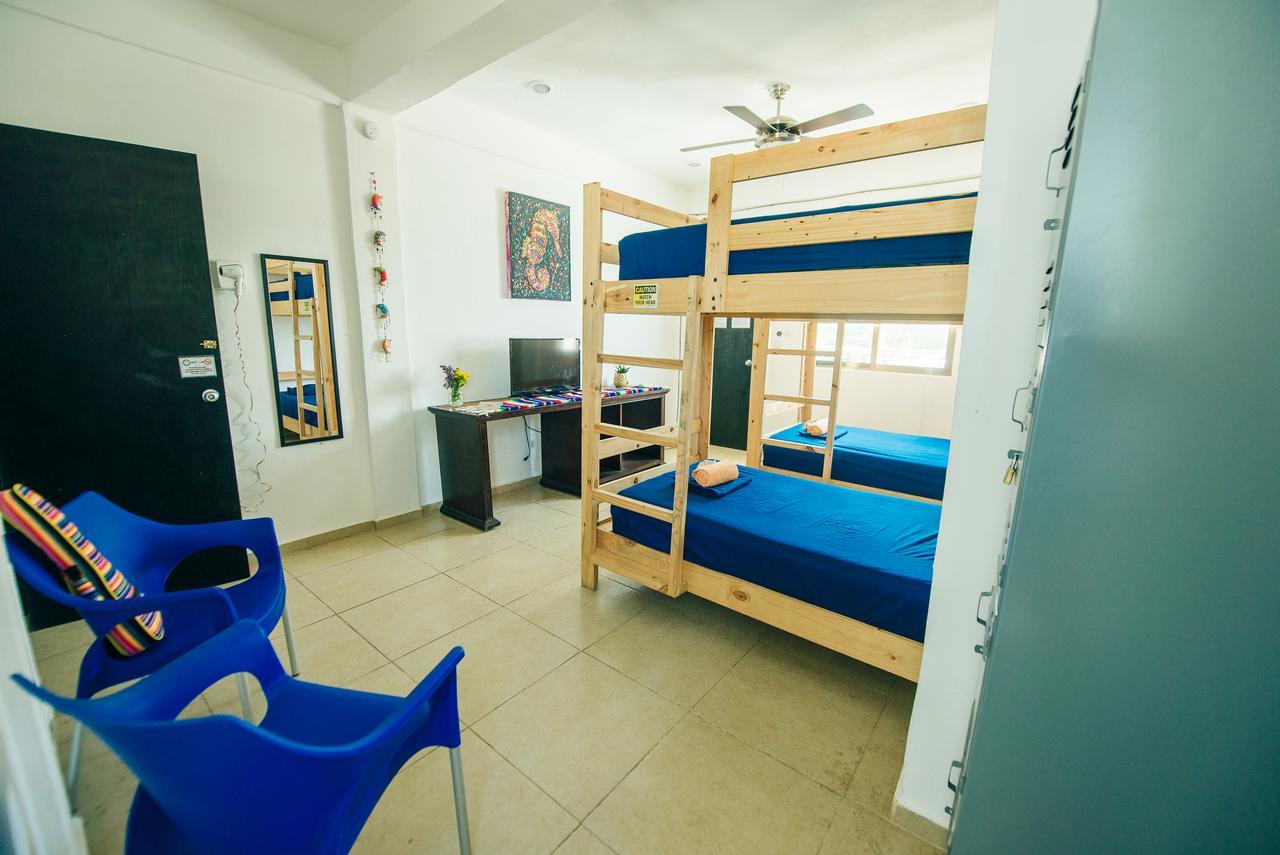 Hostel The Mermaid (adults Only) Cancun