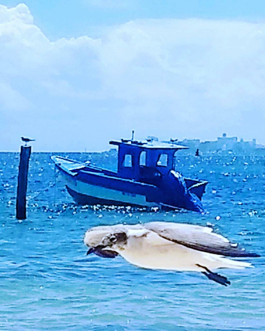 Homestay Tu Casa En El Caribe