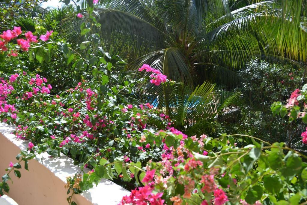 Apartment Cocoa Beach - Free Access To The Beach