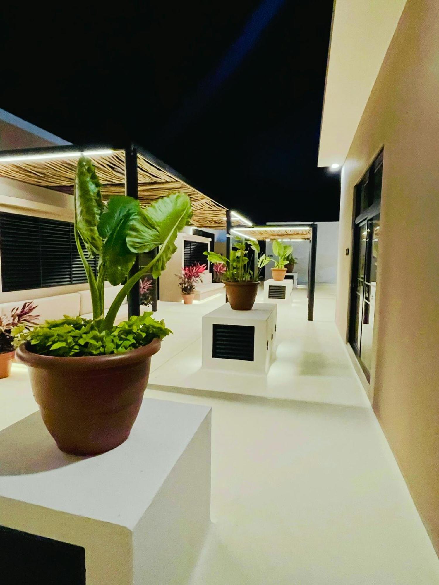 Apartment Alma Del Caribe