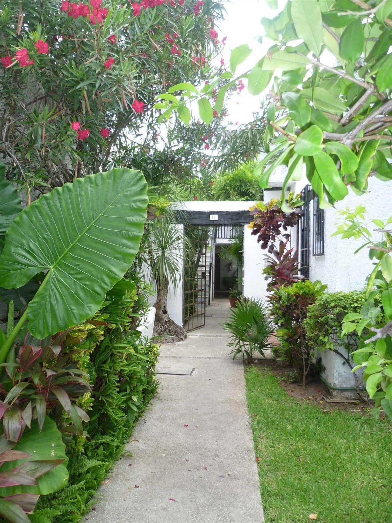 Hostal Haina Hostel Cancun