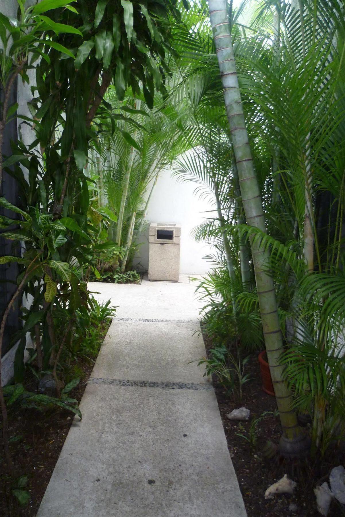 Hostel Hostal Haina Cancun